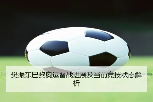 樊振东巴黎奥运备战进展及当前竞技状态解析